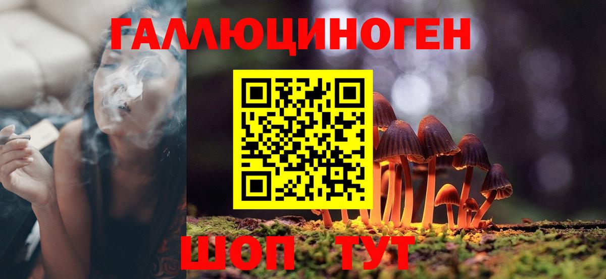 Галлюциногенные грибы мицелий  Вход с VPN  Новороссийск  Псилоцибиновые грибы Psilocybe 